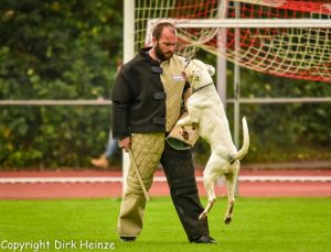 14670691_1182123788511210_332246296658325111_n