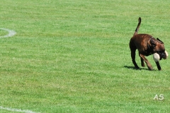 kleinDSC_0356