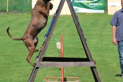 kleinDSC_0363