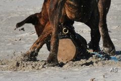 kleinDSC_0432